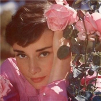 網友昵稱：濟寧水族批發市場