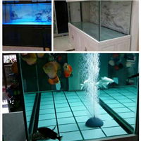 用戶昵稱：宜昌水族批發市場