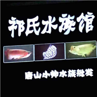 用戶昵稱：保定水族批發市場