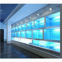 用戶昵稱：徐州水族批發市場