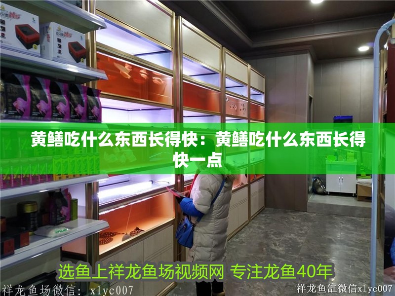 黃鱔吃什么東西長(zhǎng)得快：黃鱔吃什么東西長(zhǎng)得快一點(diǎn)