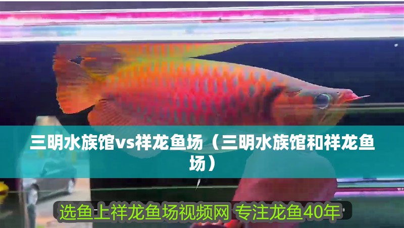 三明水族館vs祥龍魚場（三明水族館和祥龍魚場）