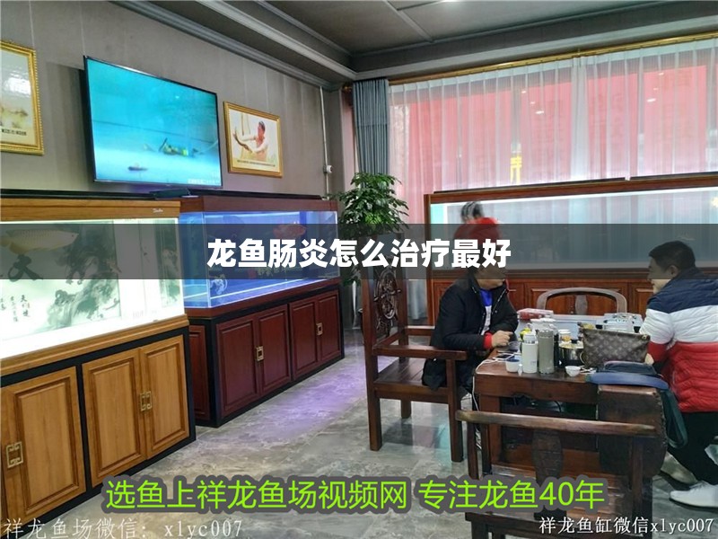龍魚腸炎怎么治療最好