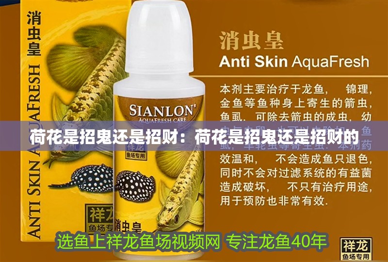 荷花是招鬼還是招財：荷花是招鬼還是招財的