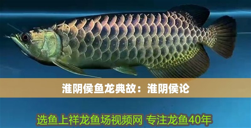 淮陰侯魚龍典故：淮陰侯論