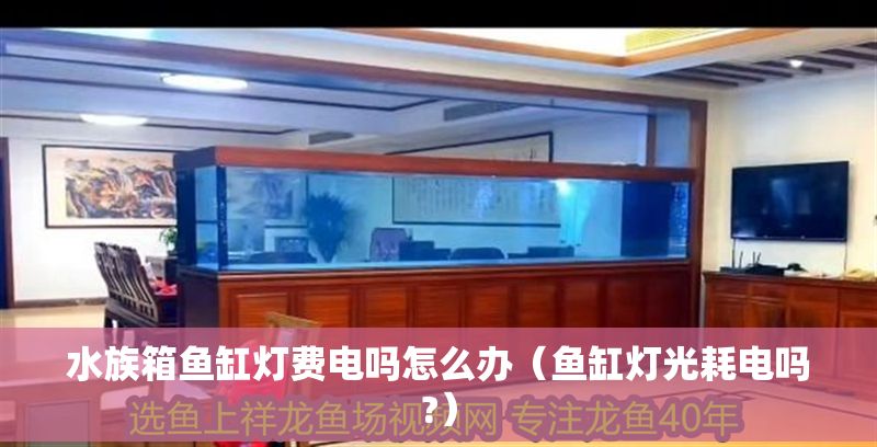 水族箱魚缸燈費電嗎怎么辦（魚缸燈光耗電嗎?）