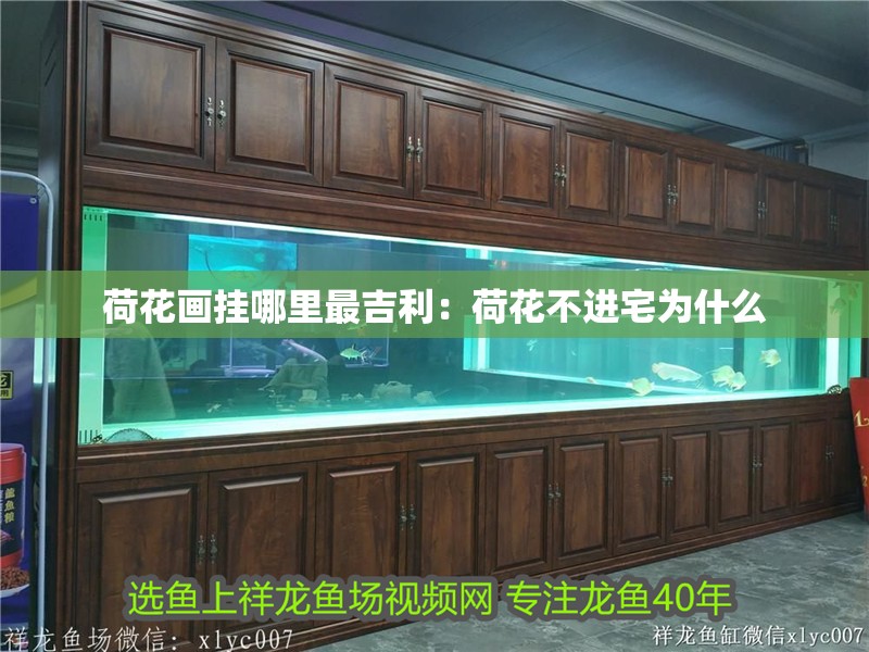 荷花畫掛哪里最吉利：荷花不進宅為什么