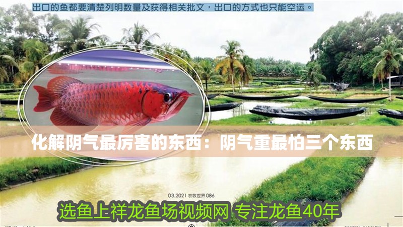 化解陰氣最厲害的東西：陰氣重最怕三個東西