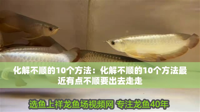 化解不順的10個方法：化解不順的10個方法最近有點不順要出去走走