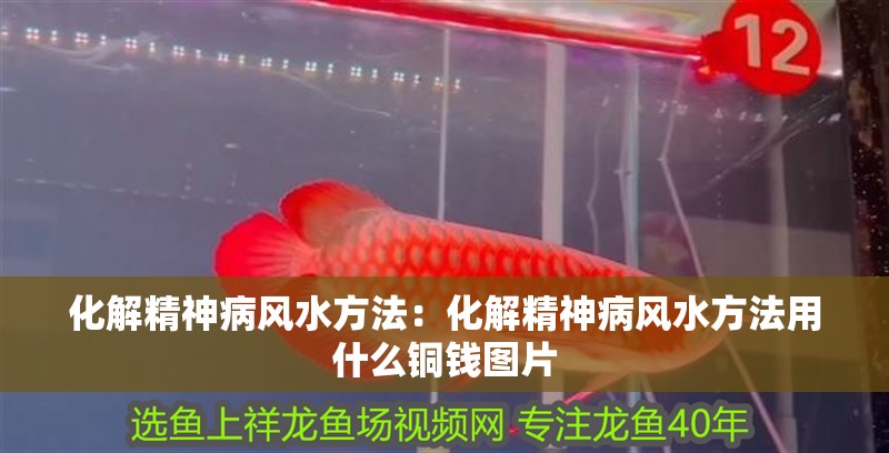 化解精神病風水方法：化解精神病風水方法用什么銅錢圖片