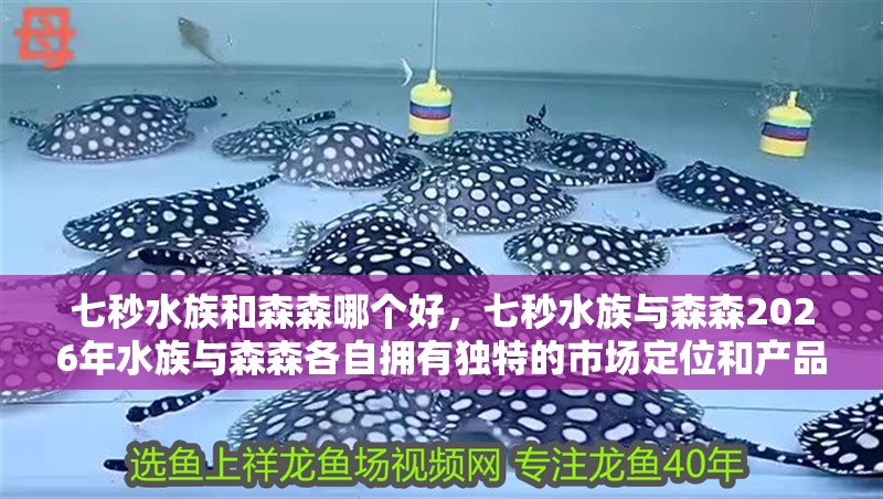 七秒水族和森森哪個好，七秒水族與森森2026年水族與森森各自擁有獨特的市場定位和產品優(yōu)勢