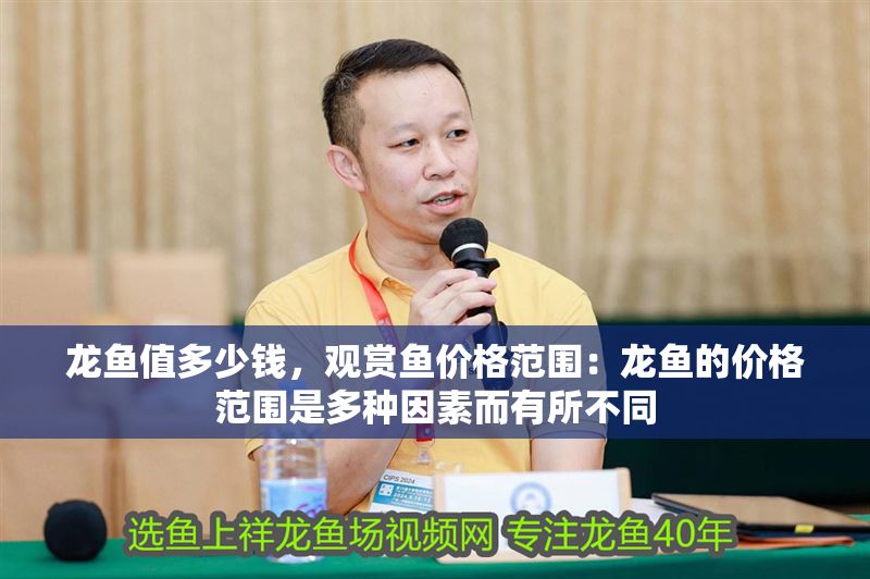 龍魚(yú)值多少錢(qián)，觀賞魚(yú)價(jià)格范圍：龍魚(yú)的價(jià)格范圍是多種因素而有所不同