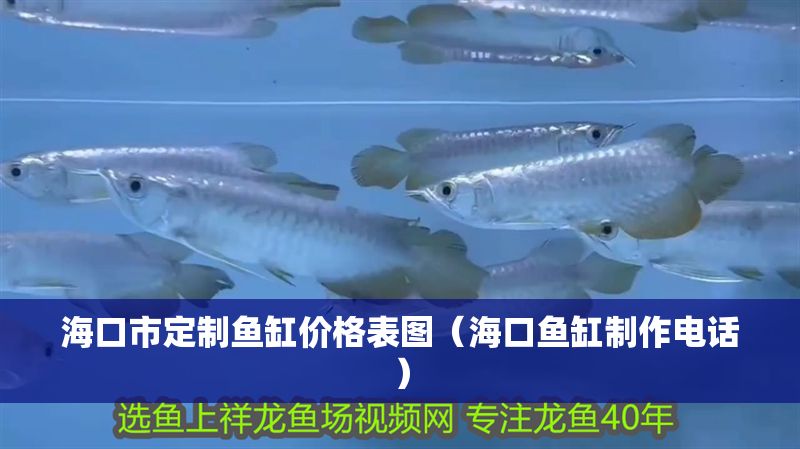 海口市定制魚缸價格表圖（?？隰~缸制作電話）