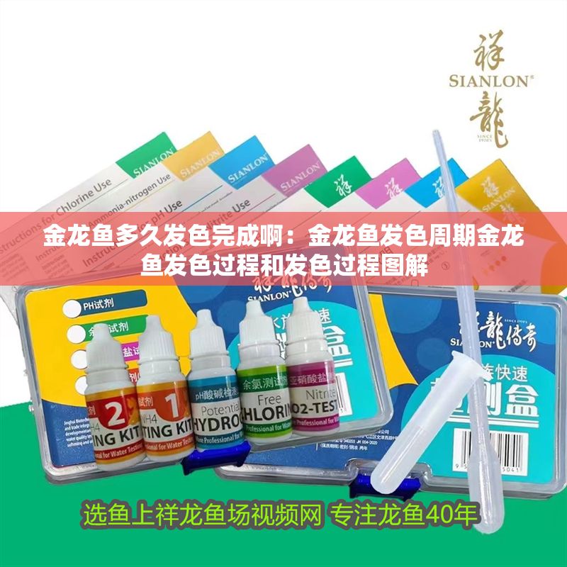 金龍魚多久發色完成啊：金龍魚發色周期金龍魚發色過程和發色過程圖解 金龍魚多久發色完成啊：金龍魚發色周期金龍魚發色過程和發色過程圖解 龍魚百科 第1張