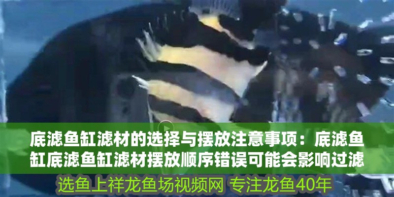 底濾魚缸濾材的選擇與擺放注意事項：底濾魚缸底濾魚缸濾材擺放順序錯誤可能會影響過濾效果 底濾魚缸濾材的選擇與擺放注意事項：底濾魚缸底濾魚缸濾材擺放順序錯誤可能會影響過濾效果 魚缸百科