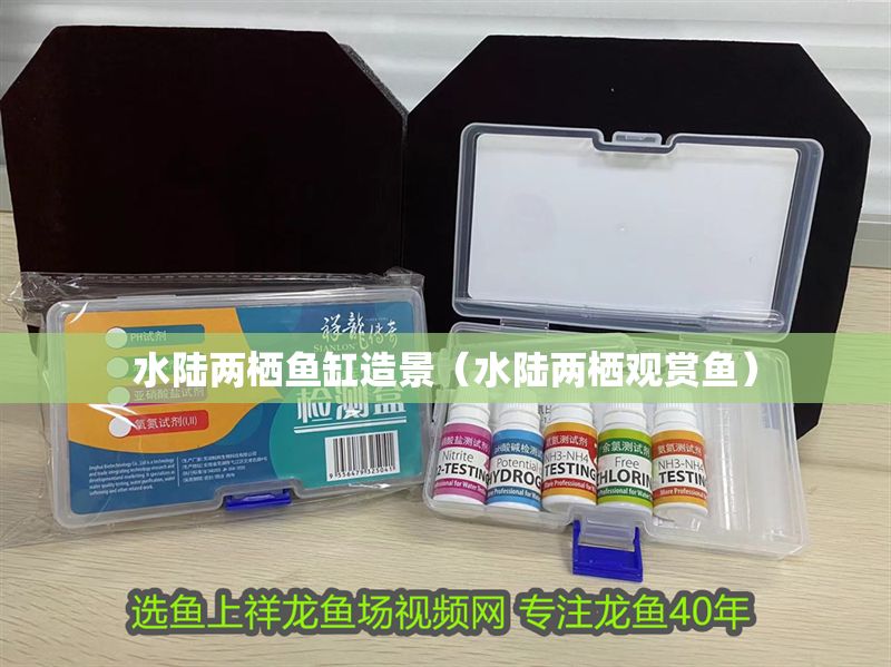 水陸兩棲魚(yú)缸造景(水陸兩棲觀賞魚(yú)) 龍魚(yú)百科 第1張 水陸兩棲魚(yú)缸造景(水陸兩棲觀賞魚(yú)) 水陸兩棲魚(yú)缸造景(水陸兩棲觀賞魚(yú)) 龍魚(yú)百科 第1張