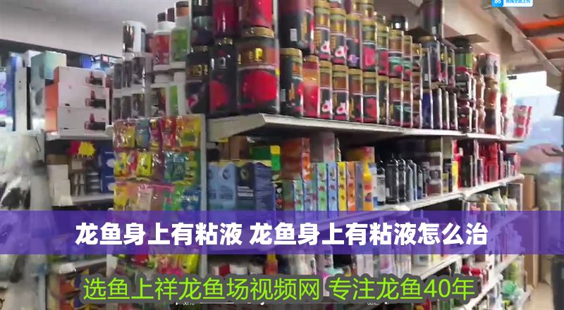 龍魚身上有粘液 龍魚身上有粘液怎么治