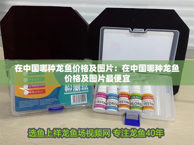 在中國哪種龍魚價格及圖片：在中國哪種龍魚價格及圖片最便宜