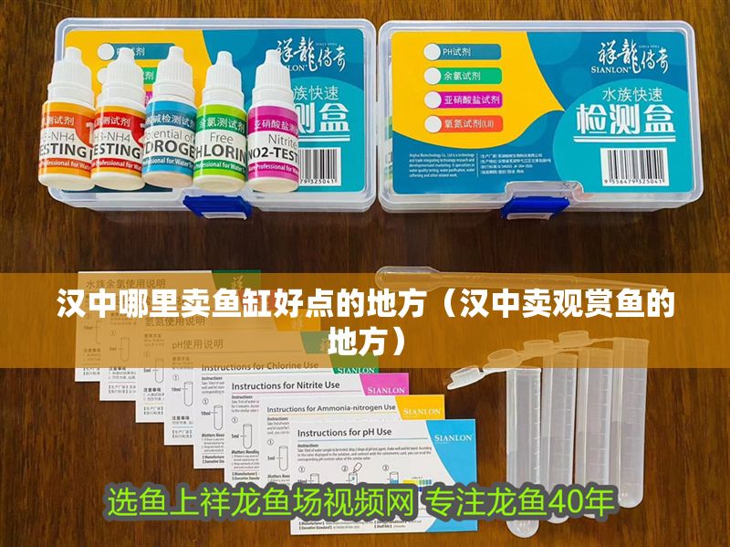 漢中哪里賣魚缸好點的地方（漢中賣觀賞魚的地方）