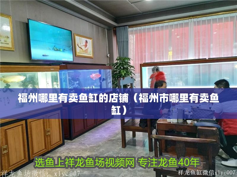 福州哪里有賣魚缸的店鋪（福州市哪里有賣魚缸）