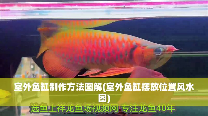 室外魚缸制作方法圖解(室外魚缸擺放位置風水圖)