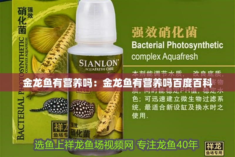 金龍魚有營養嗎：金龍魚有營養嗎百度百科