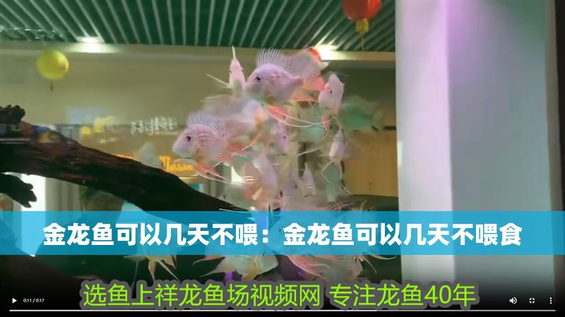 金龍魚可以幾天不喂：金龍魚可以幾天不喂食