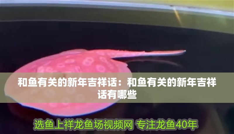 和魚有關的新年吉祥話：和魚有關的新年吉祥話有哪些