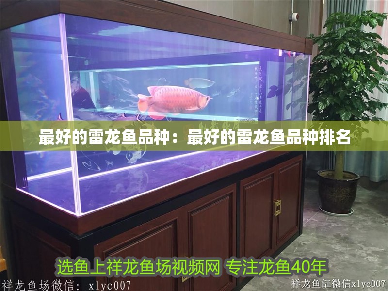 最好的雷龍魚品種：最好的雷龍魚品種排名