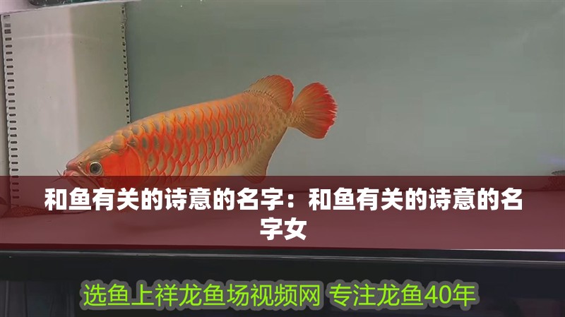 和魚有關的詩意的名字：和魚有關的詩意的名字女