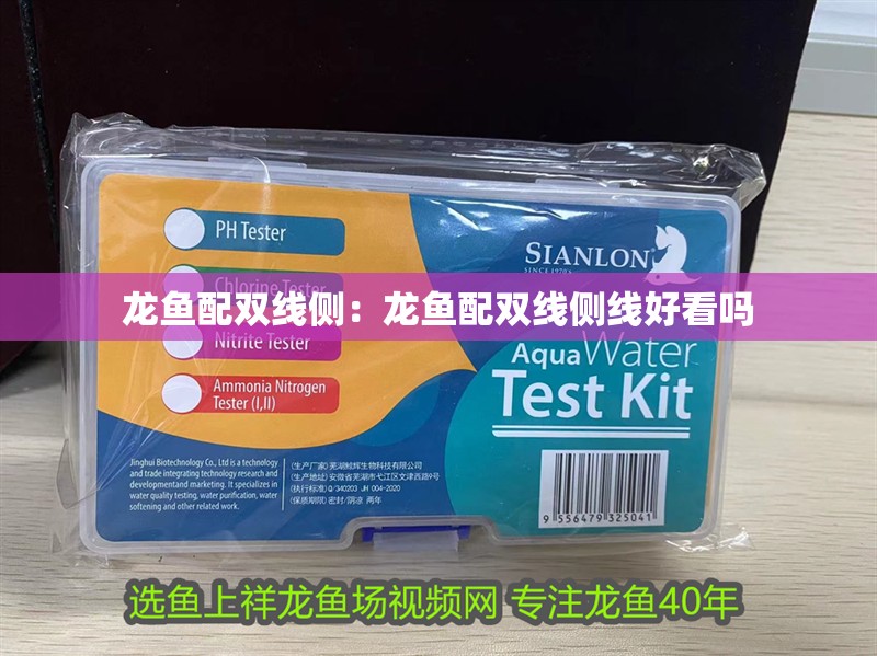 龍魚配雙線側(cè)：龍魚配雙線側(cè)線好看嗎