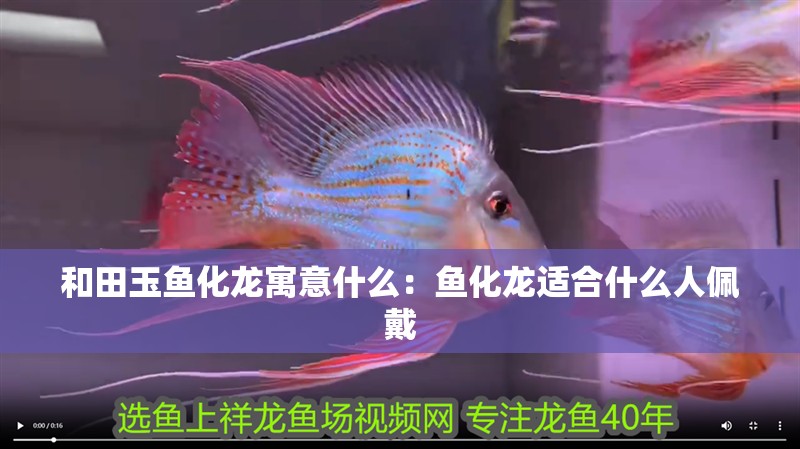 和田玉魚化龍寓意什么：魚化龍適合什么人佩戴