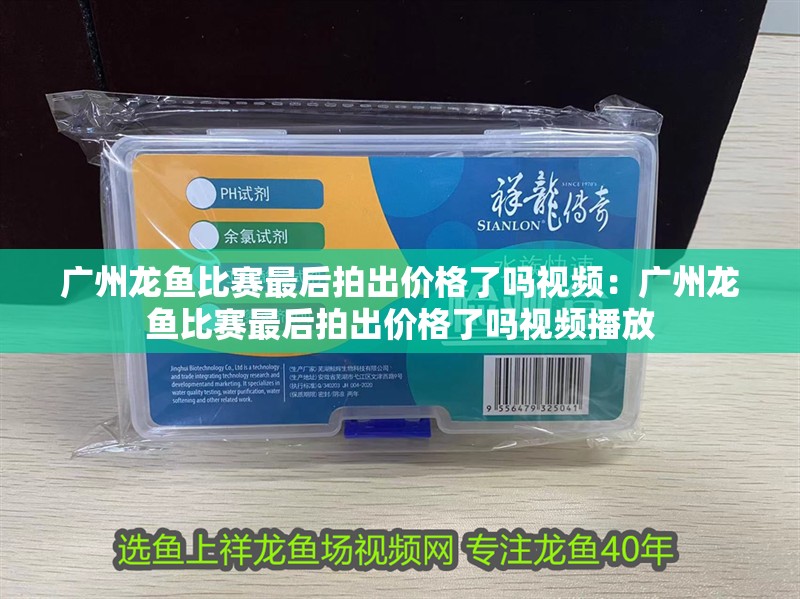 廣州龍魚比賽最后拍出價格了嗎視頻:廣州龍魚比賽最后拍出價格了嗎視頻播放 水族問答 廣州龍魚比賽最后拍出價格了嗎視頻:廣州龍魚比賽最后拍出價格了嗎視頻播放 廣州龍魚比賽最后拍出價格了嗎視頻:廣州龍魚比賽最后拍出價格了嗎視頻播放 水族問答