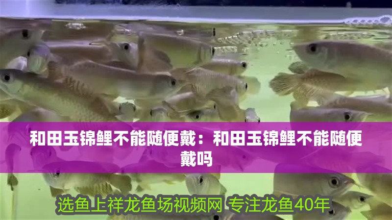 和田玉錦鯉不能隨便戴：和田玉錦鯉不能隨便戴嗎