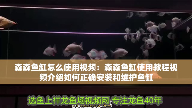 森森魚缸怎么使用視頻：森森魚缸使用教程視頻介紹如何正確安裝和維護魚缸