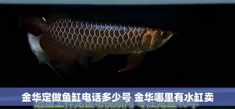 金華定做魚缸電話多少號 金華哪里有水缸賣