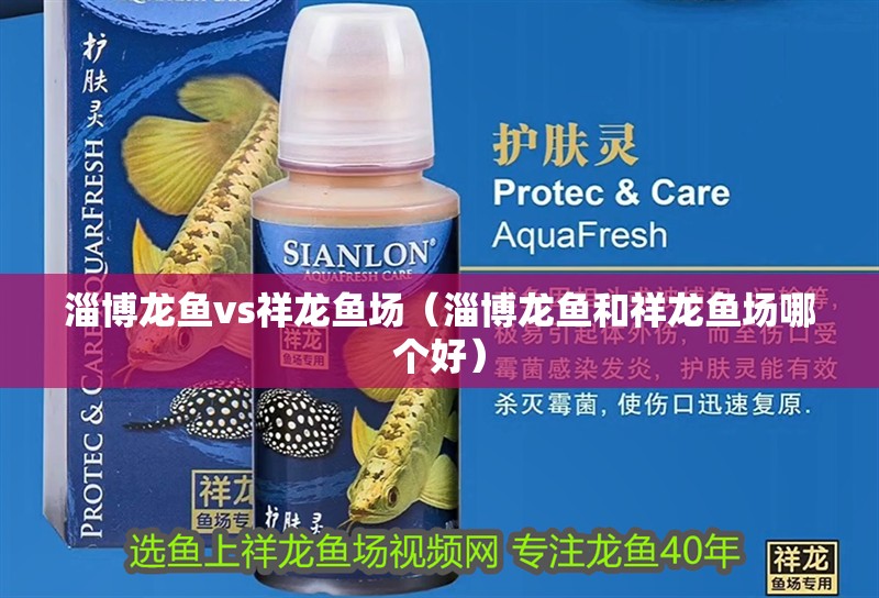 淄博龍魚vs祥龍魚場（淄博龍魚和祥龍魚場哪個好）
