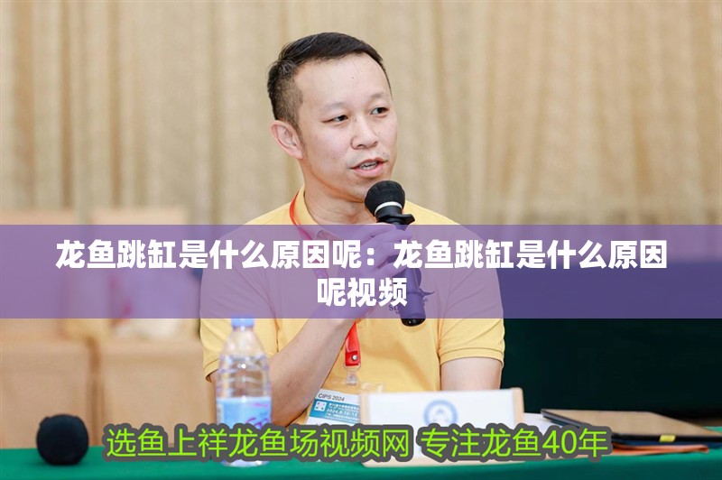 龍魚跳缸是什么原因呢：龍魚跳缸是什么原因呢視頻