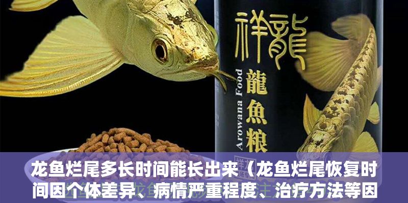 龍魚爛尾多長時間能長出來（龍魚爛尾恢復時間因個體差異、病情嚴重程度、治療方法等因素而異）