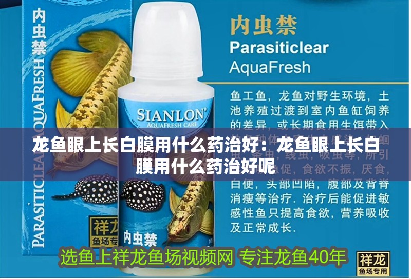 龍魚眼上長白膜用什么藥治好：龍魚眼上長白膜用什么藥治好呢