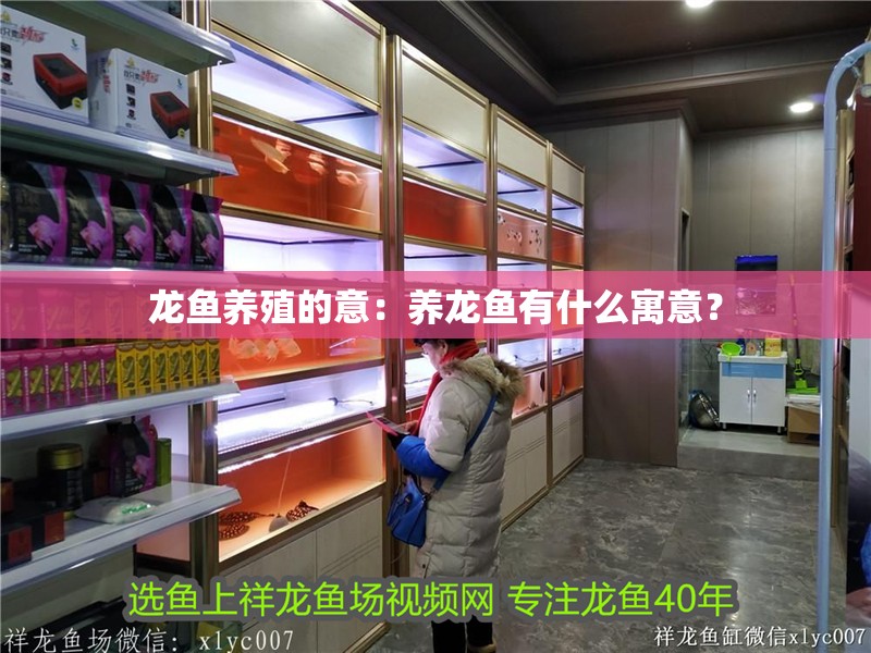 龍魚養殖的意：養龍魚有什么寓意？