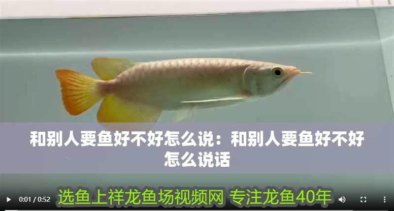 和別人要魚好不好怎么說：和別人要魚好不好怎么說話