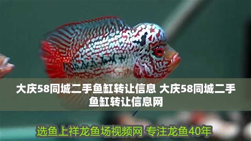 大慶58同城二手魚缸轉讓信息 大慶58同城二手魚缸轉讓信息網