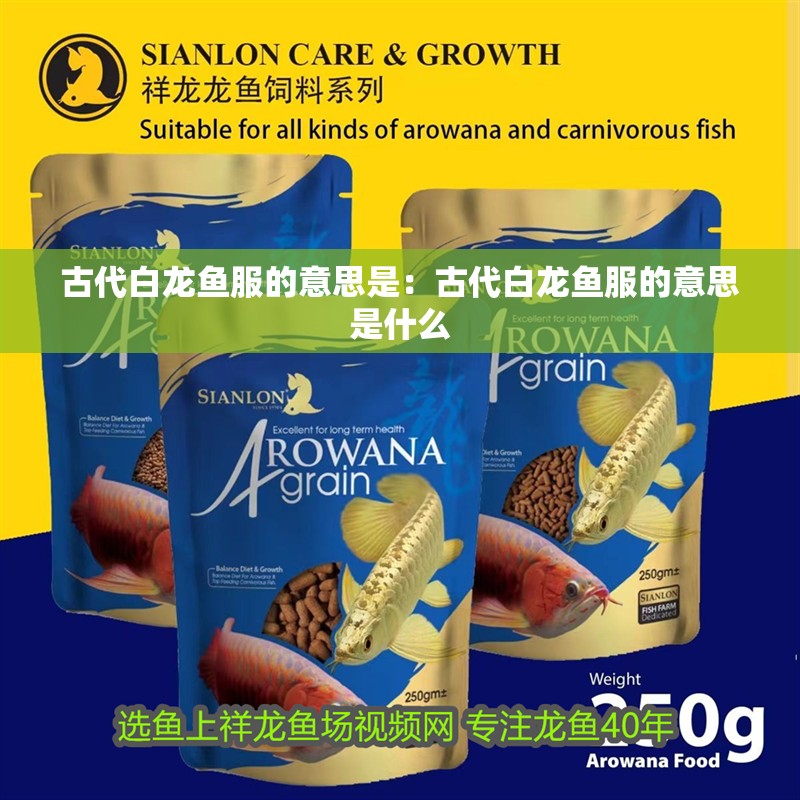 古代白龍魚(yú)服的意思是：古代白龍魚(yú)服的意思是什么