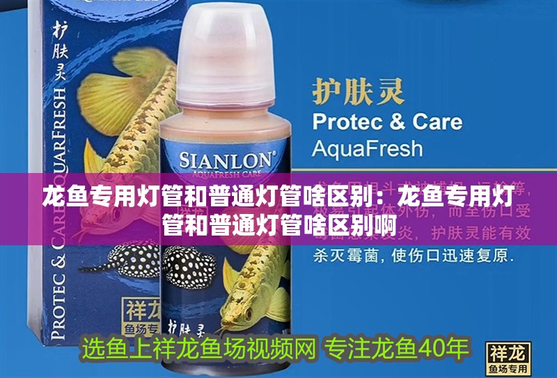 龍魚專用燈管和普通燈管啥區(qū)別：龍魚專用燈管和普通燈管啥區(qū)別啊