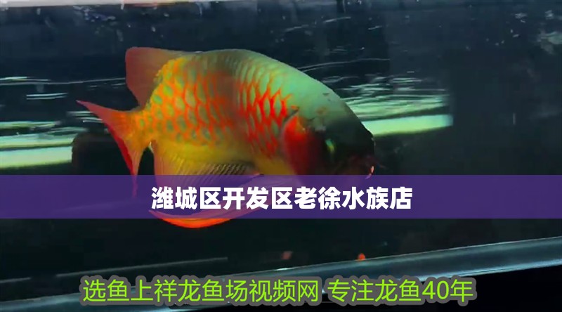濰城區開發區老徐水族店