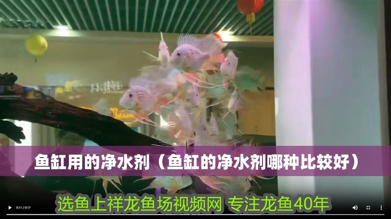 魚缸用的凈水劑（魚缸的凈水劑哪種比較好）