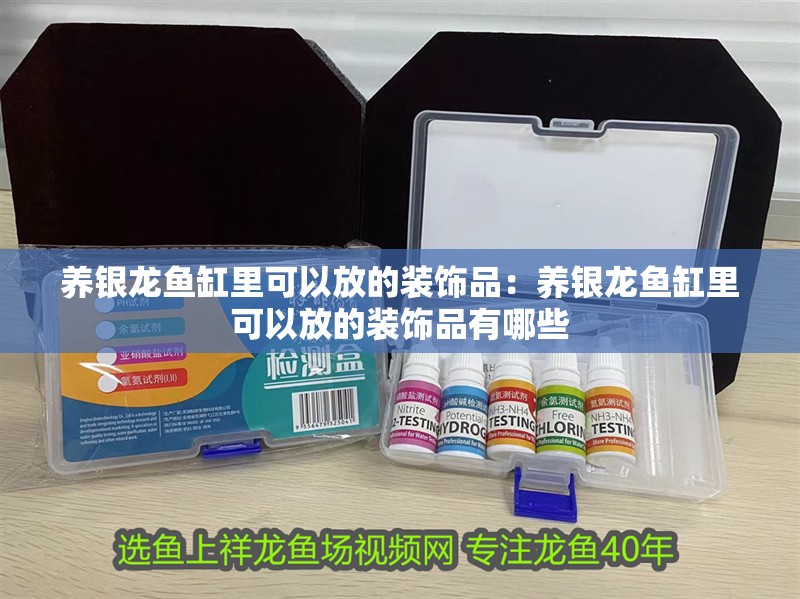 養銀龍魚缸里可以放的裝飾品：養銀龍魚缸里可以放的裝飾品有哪些