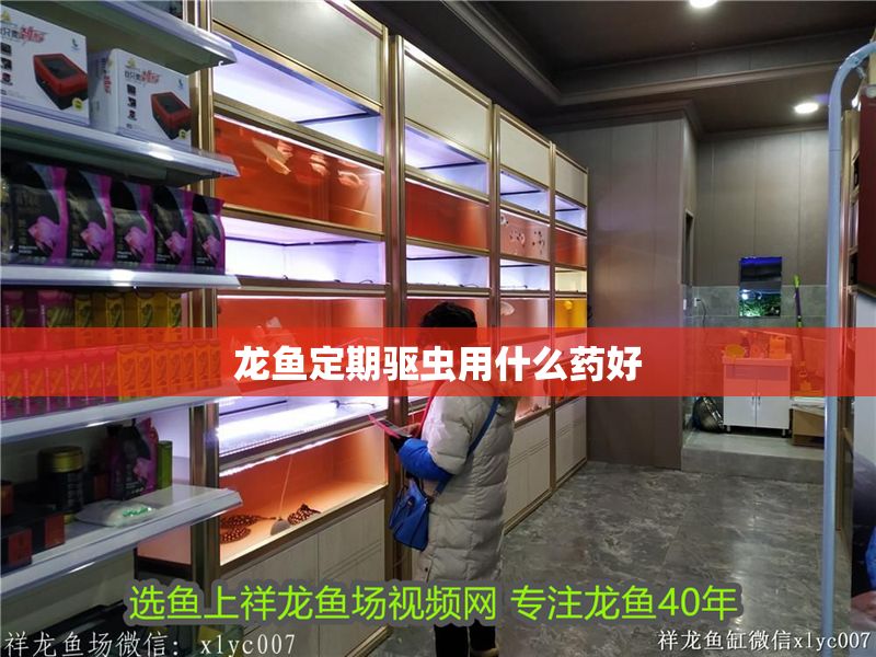 龍魚定期驅(qū)蟲用什么藥好