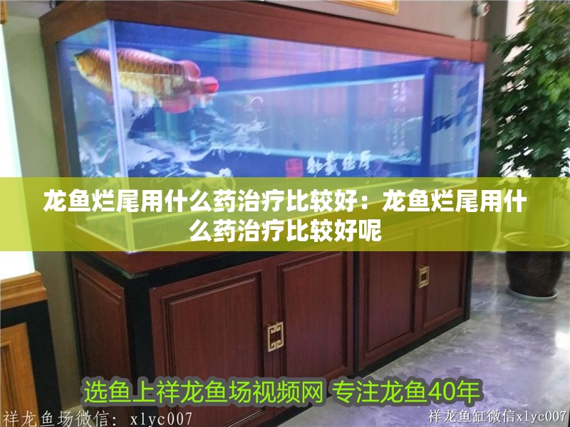 龍魚爛尾用什么藥治療比較好：龍魚爛尾用什么藥治療比較好呢